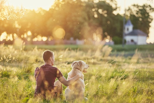 Urlaub mit dem Hund 